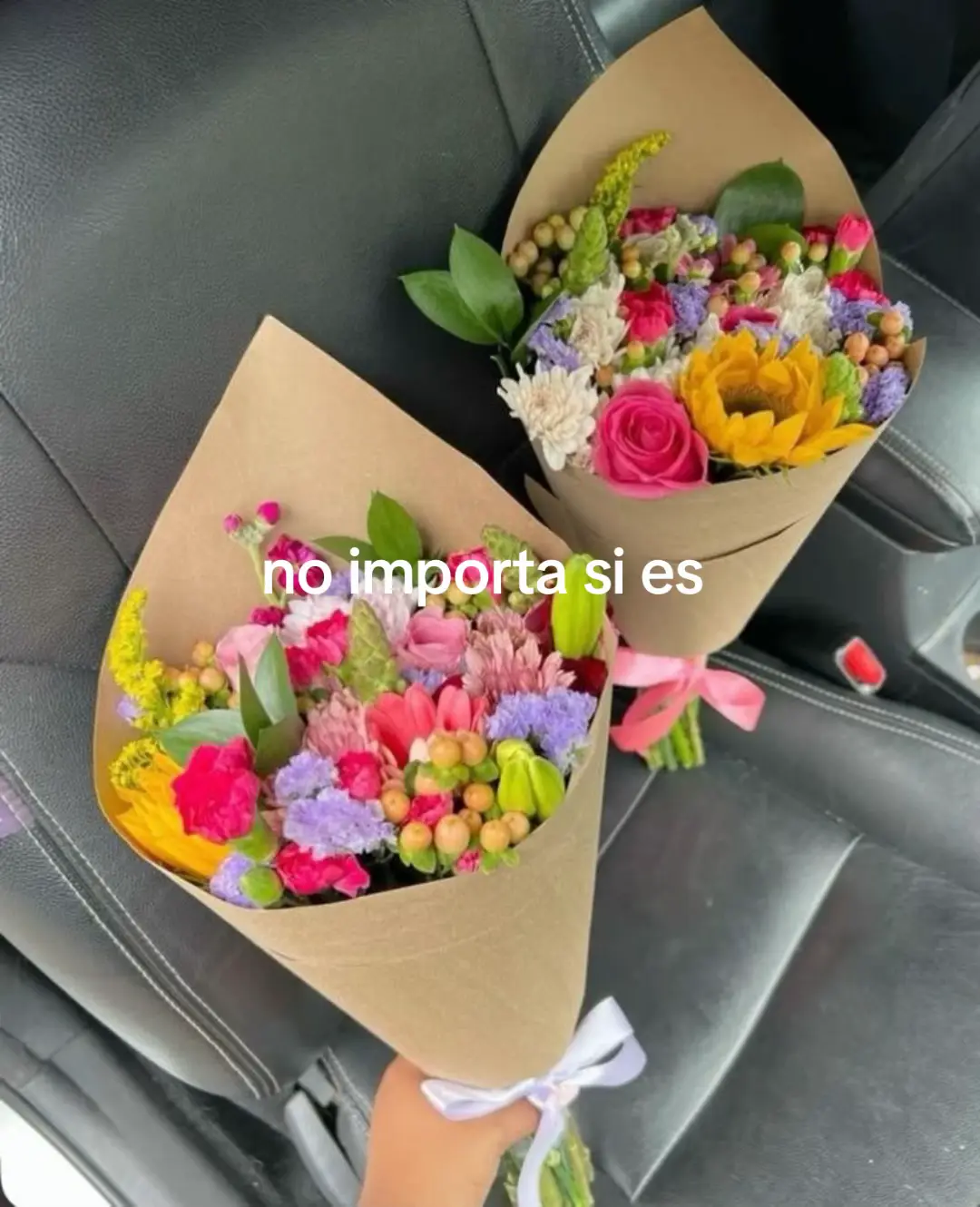 @Laia