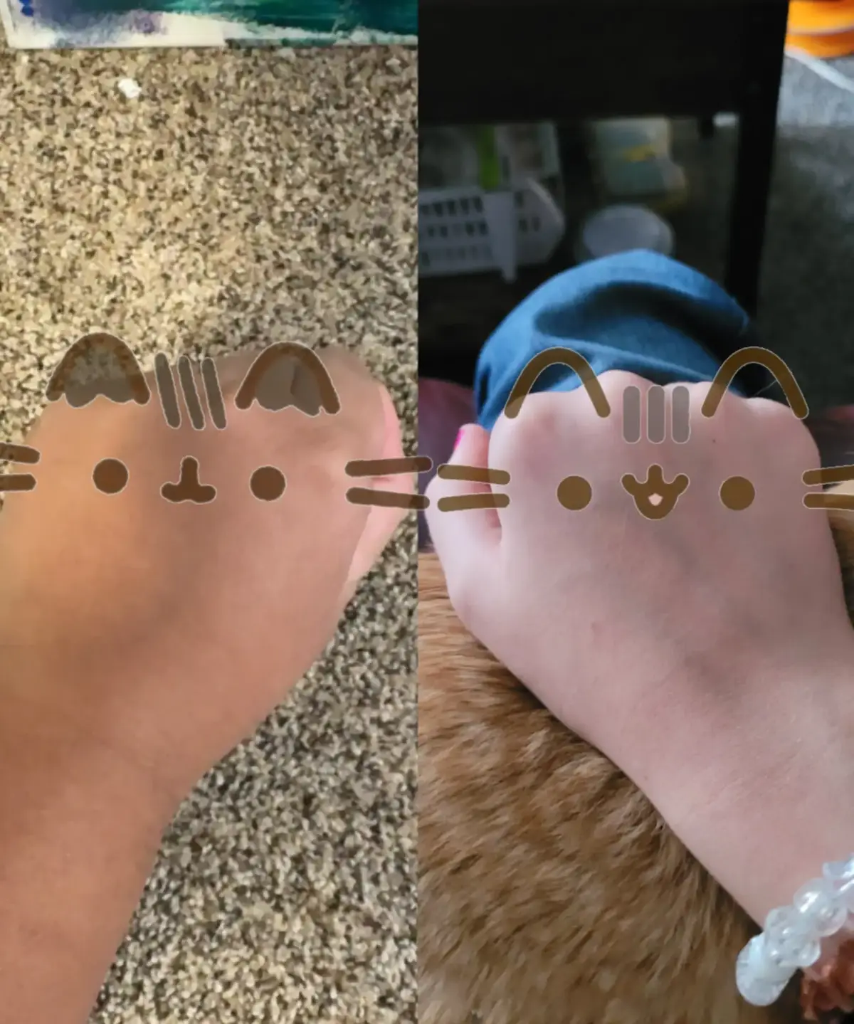 @𓏲𑁘🐾⋆. mᥲ᥊ ⋆†🪽°