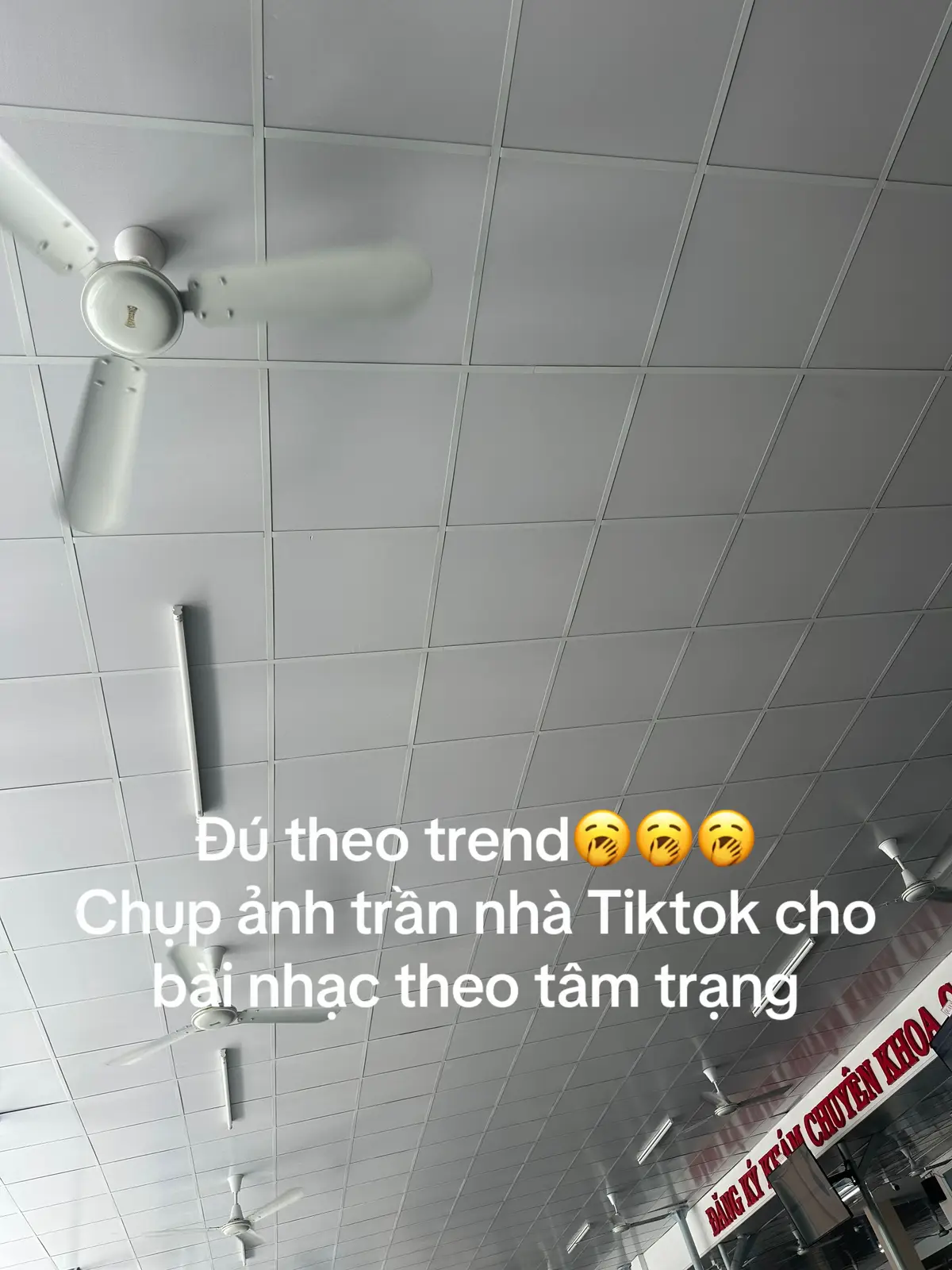 @ThanhPhongVlogs