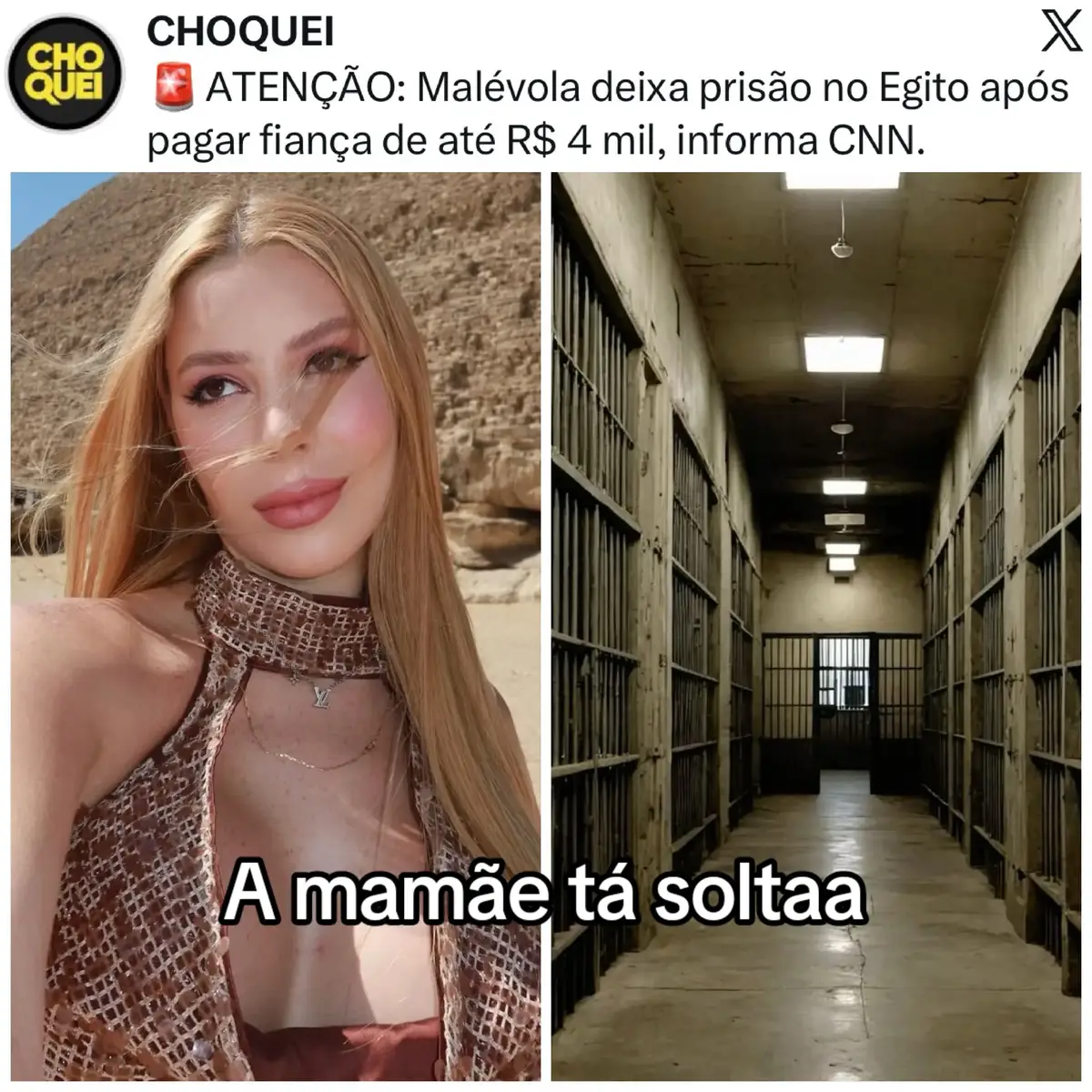 @bertadits