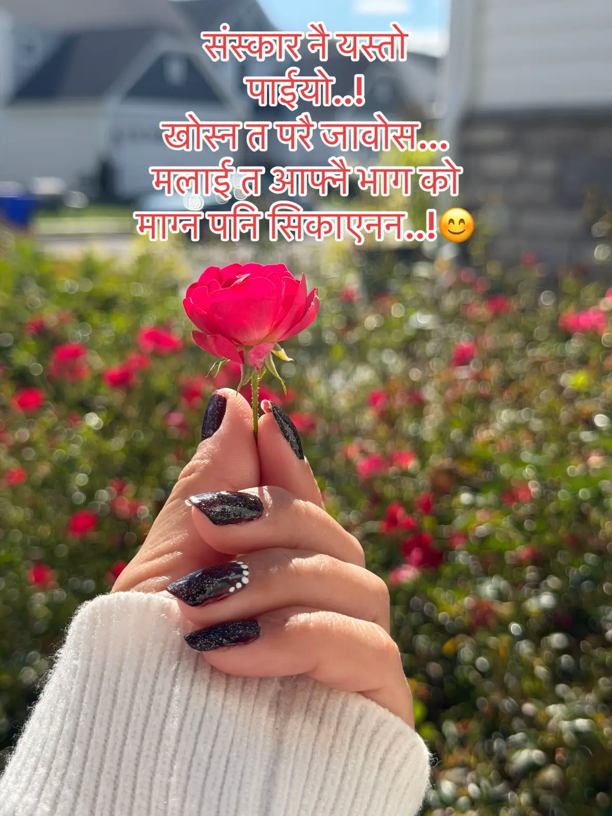 @Bidya katuwal❤️