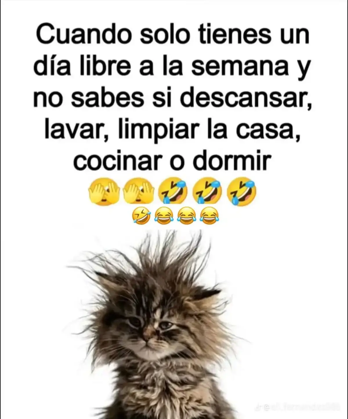 @obispo lorenzo