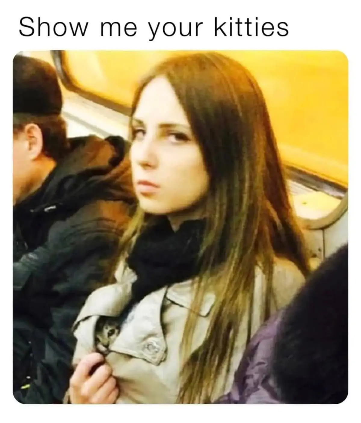 @Rcborg