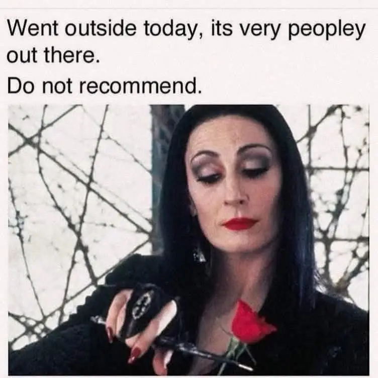 @lynn 🏴💕