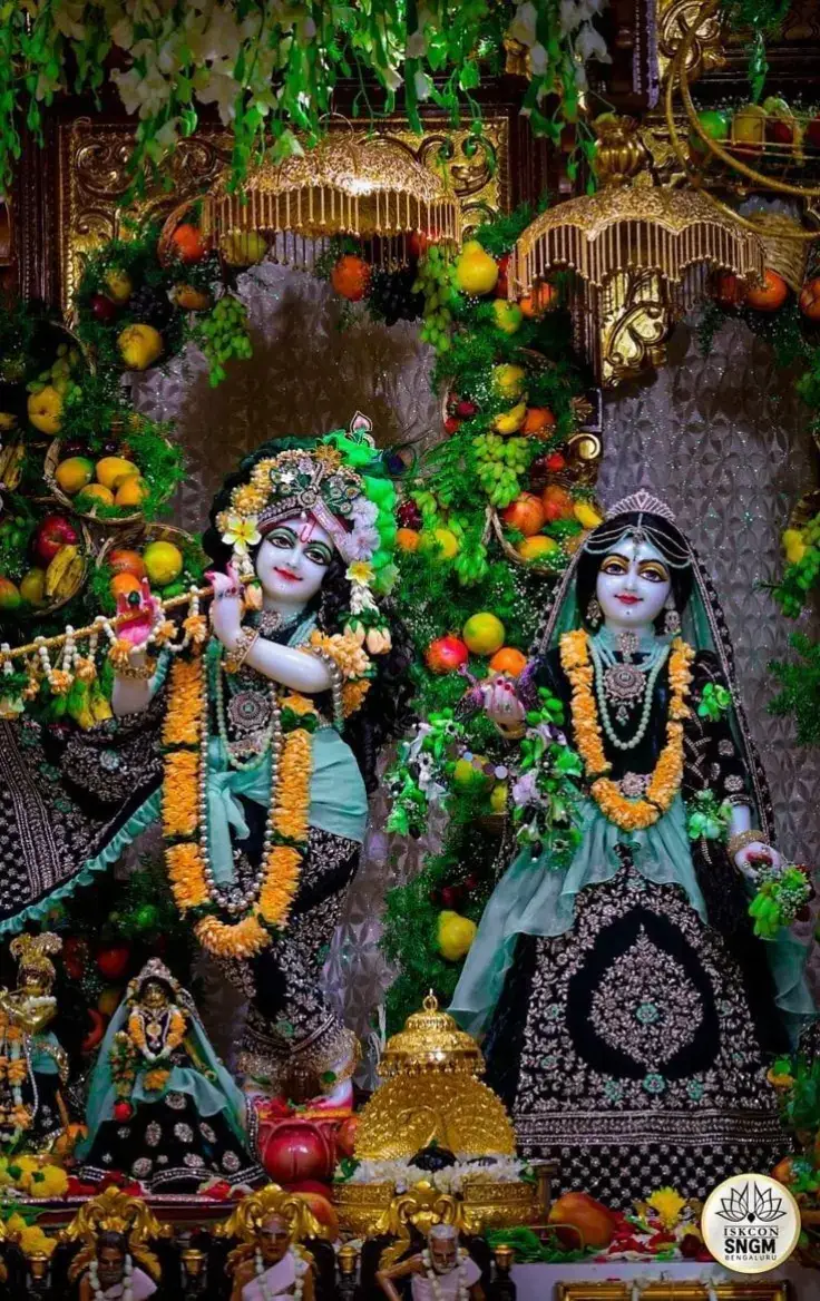 @sneha chaurasia