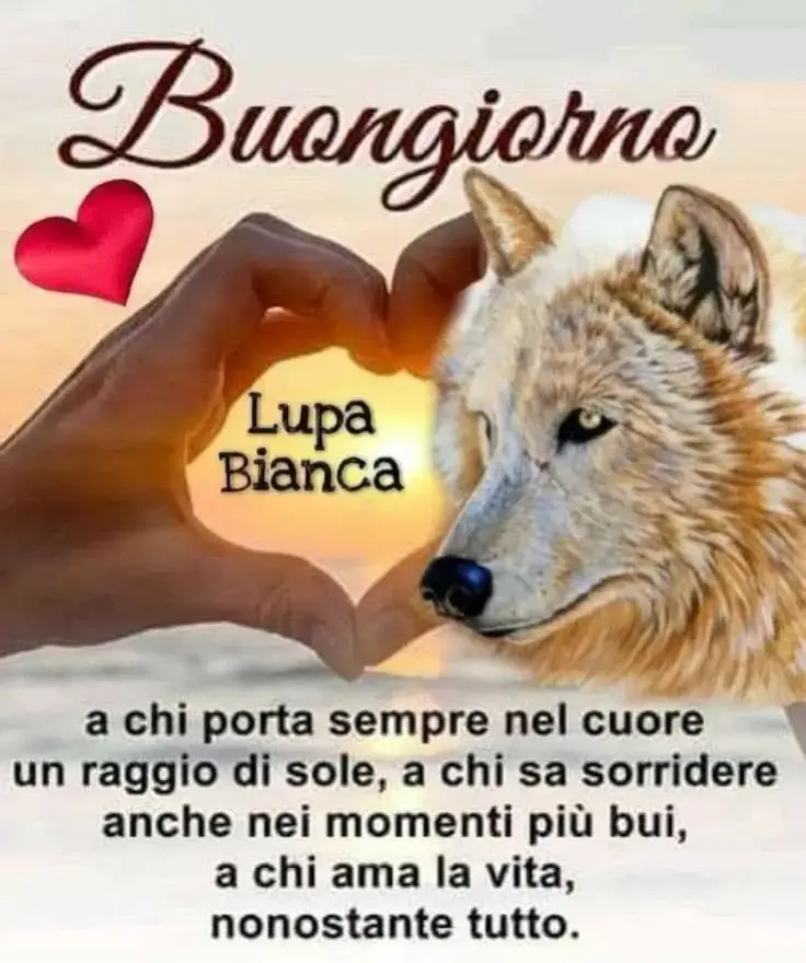 @Carla Junior