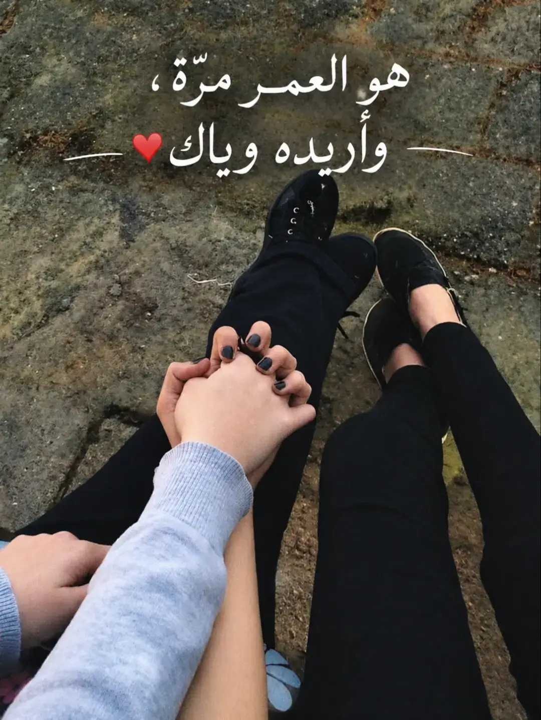 @انس الشامي