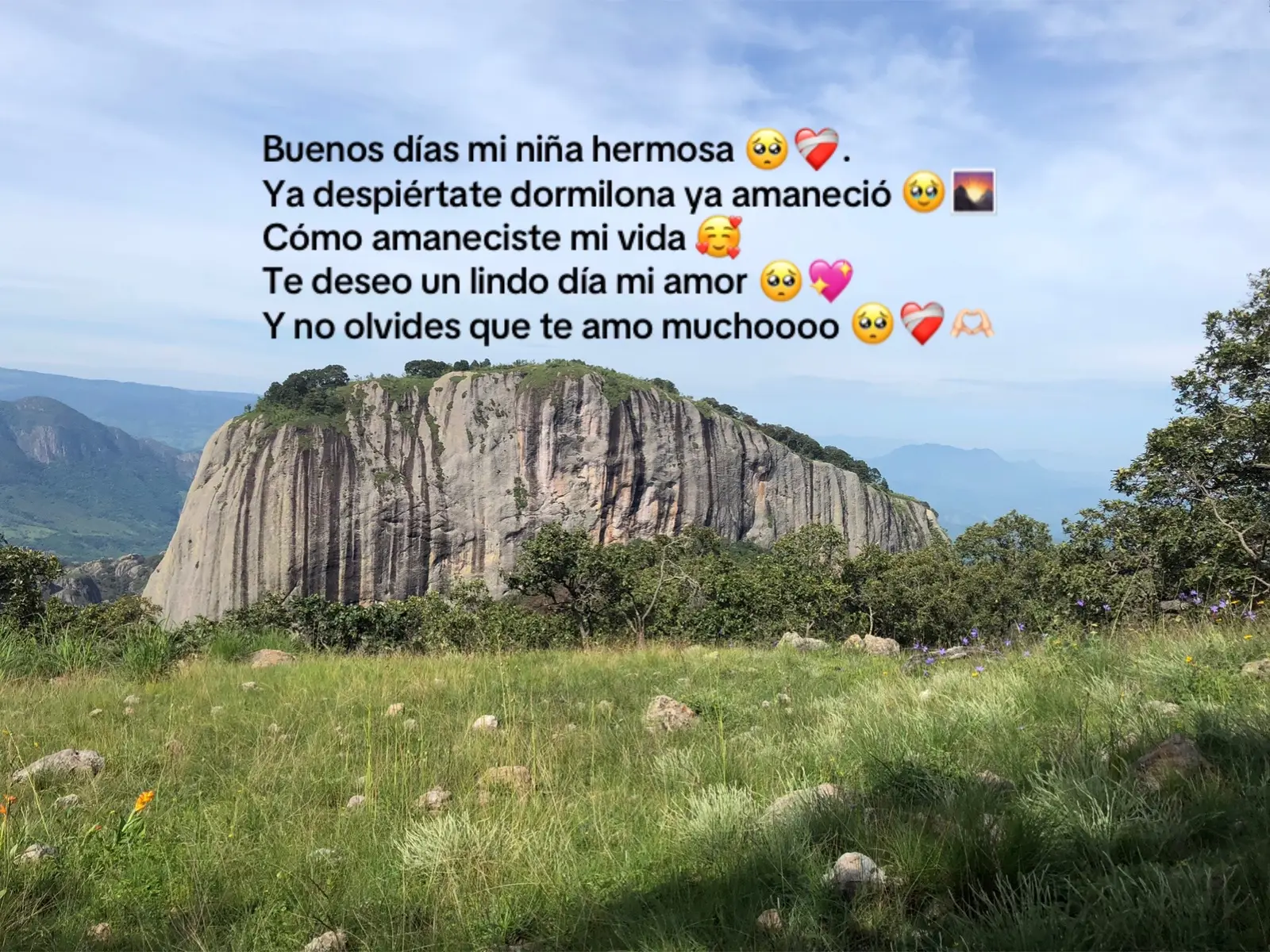 @Chacorta!!