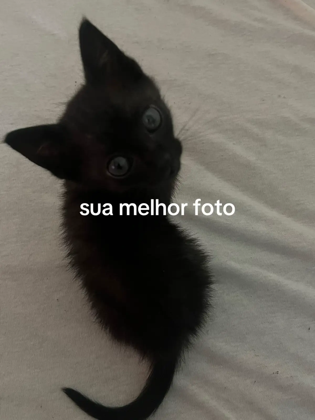 @clarice ☥