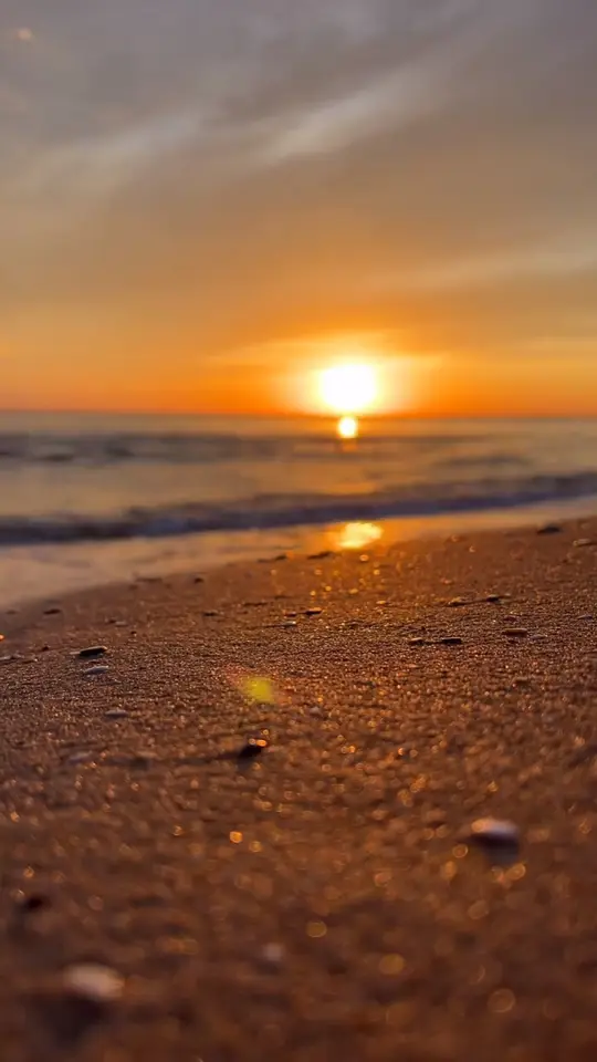 @Deniz 7256