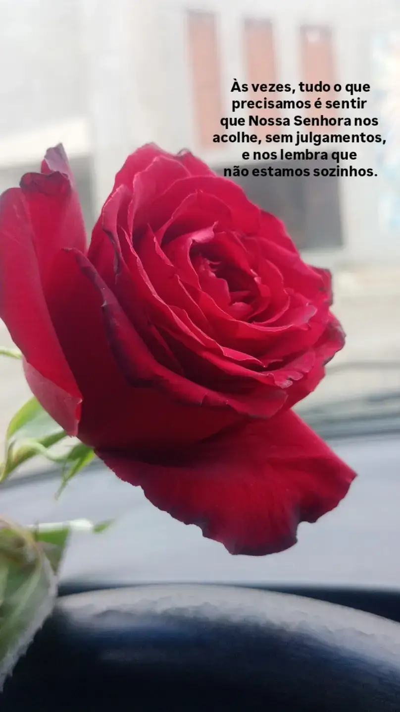 @Giovana Duarte✨