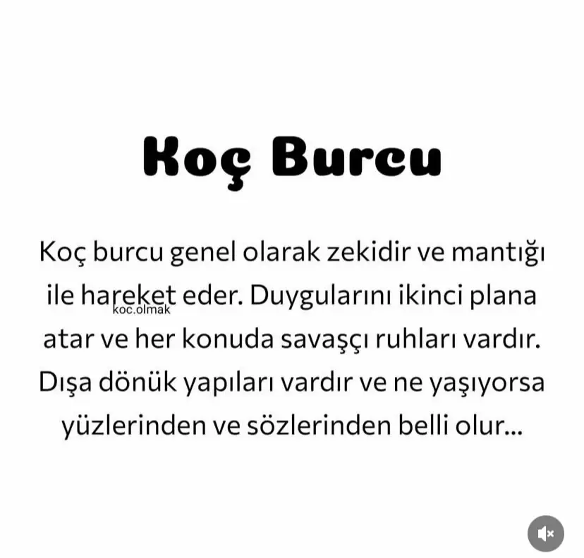 @kocburcu6