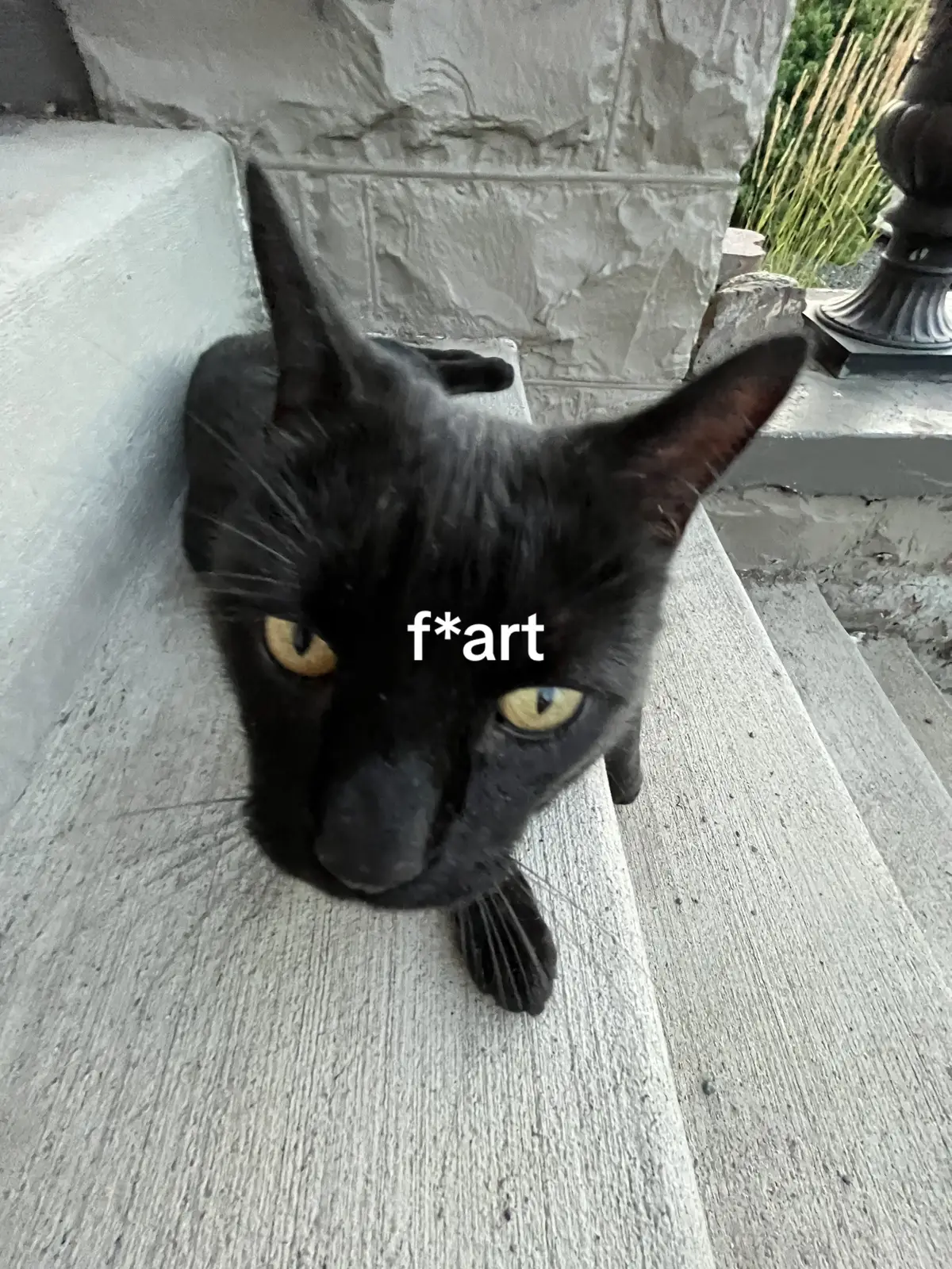 @batzit