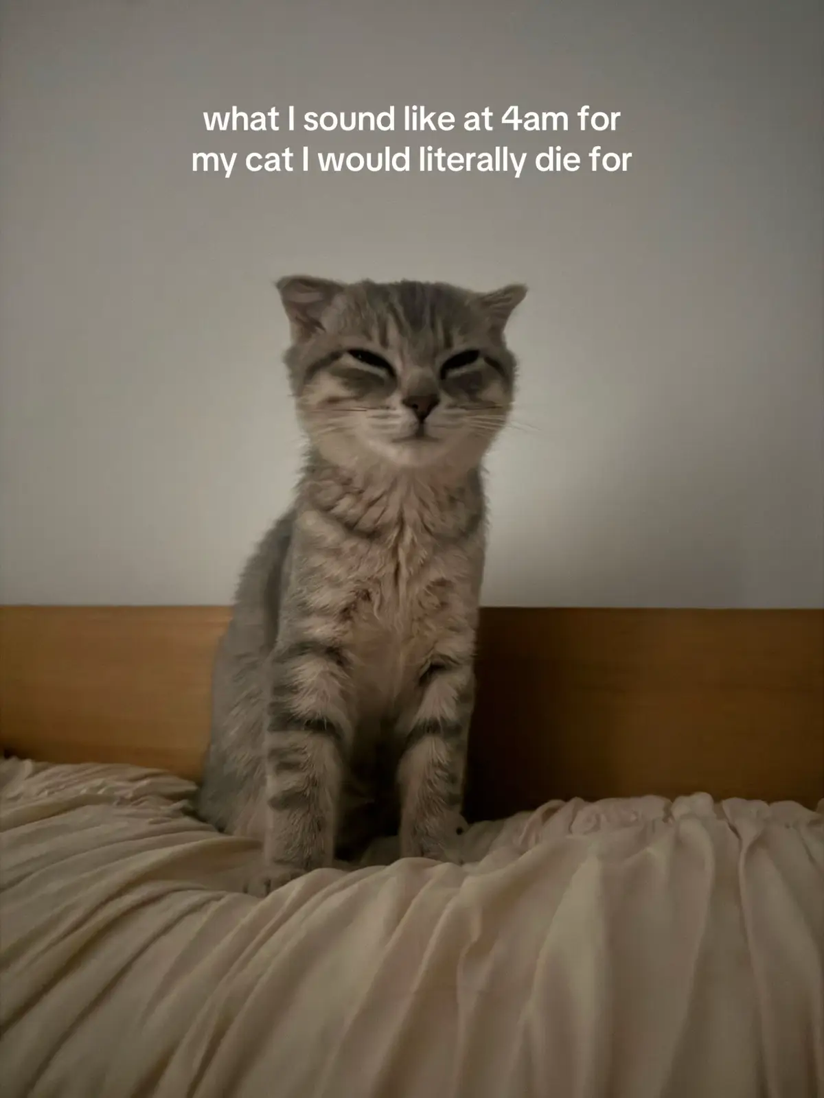 @Suki