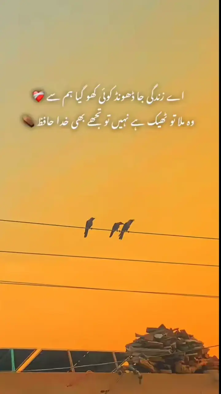@ChuZiii🐣🐣