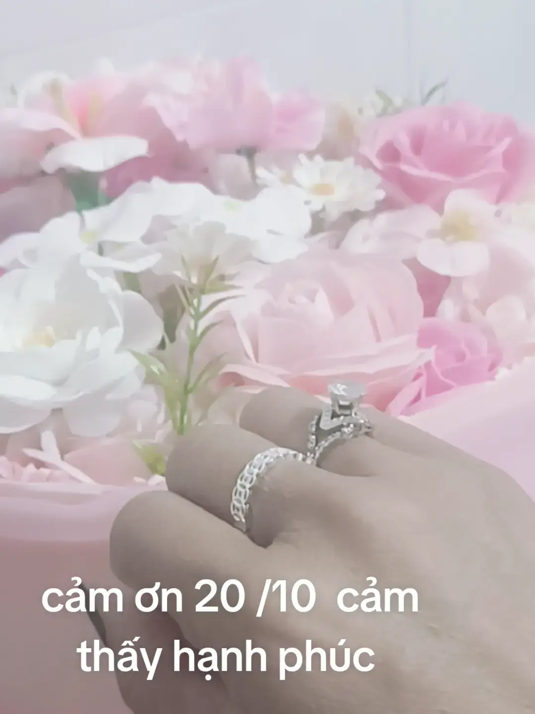 @Kim V&acirc;n🤣❤️🥰