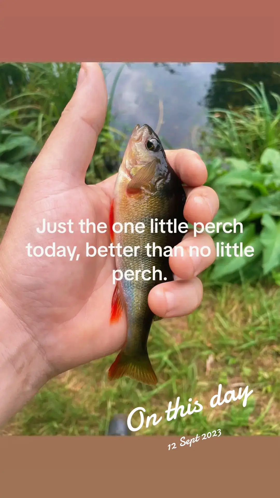 @Mental elf fishin