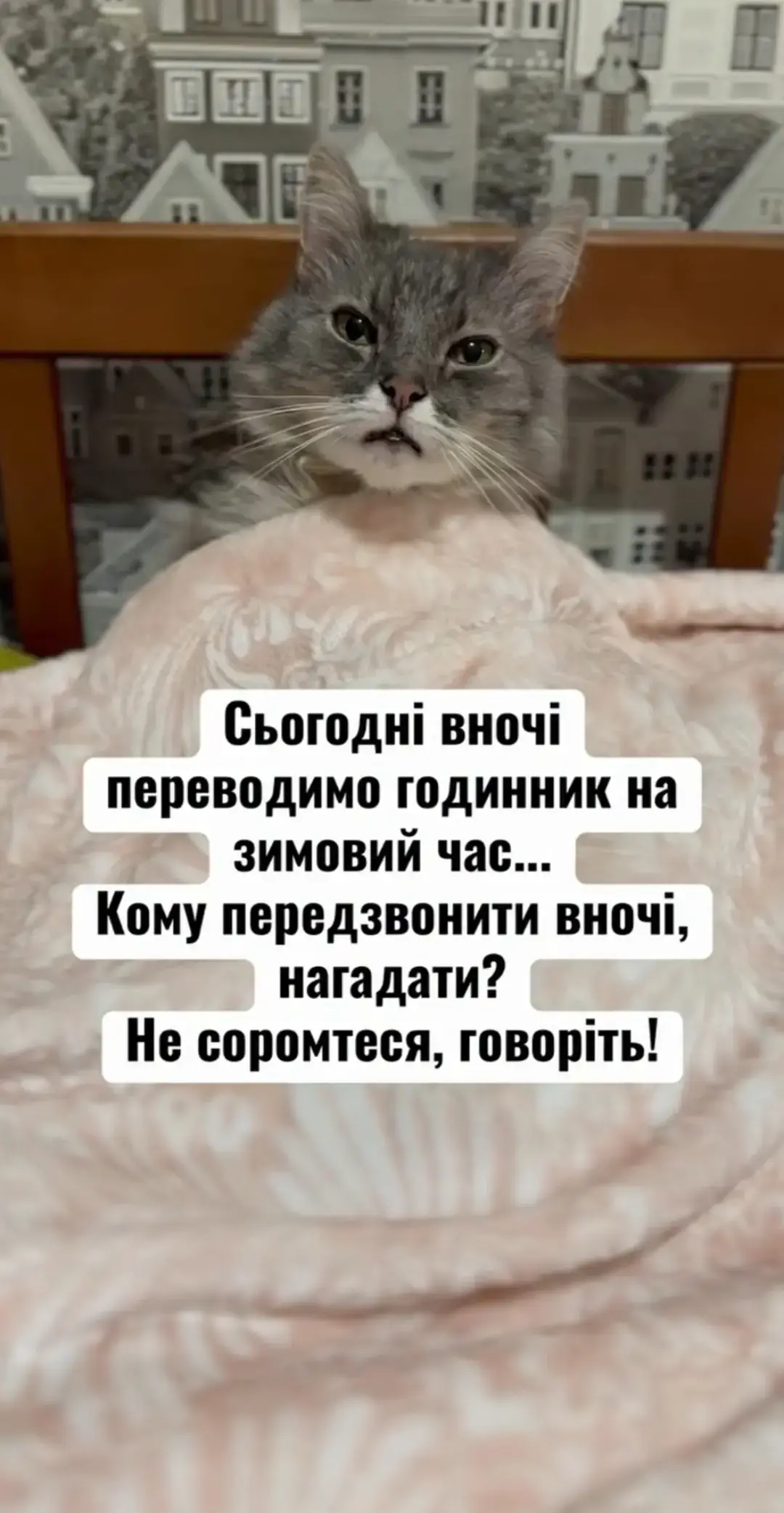 @Мария Ореховская