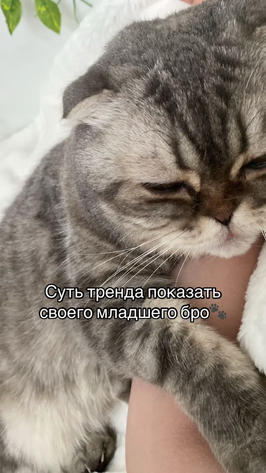 @F_u_r_e_t🐾✨🤍