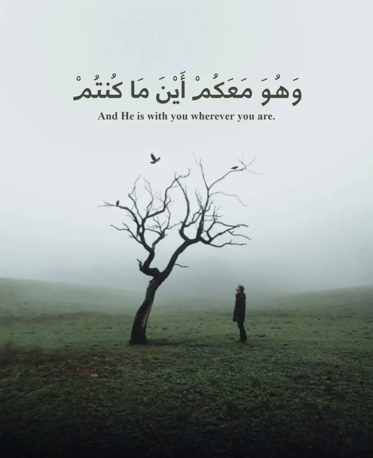 @𝐁𝐤𝟏𝐱𝐝 🇵🇸
