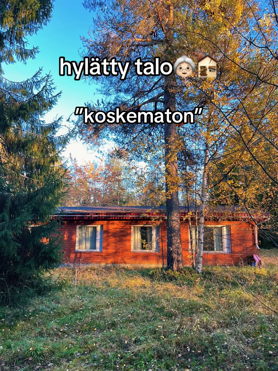 @homeinen_sammutin