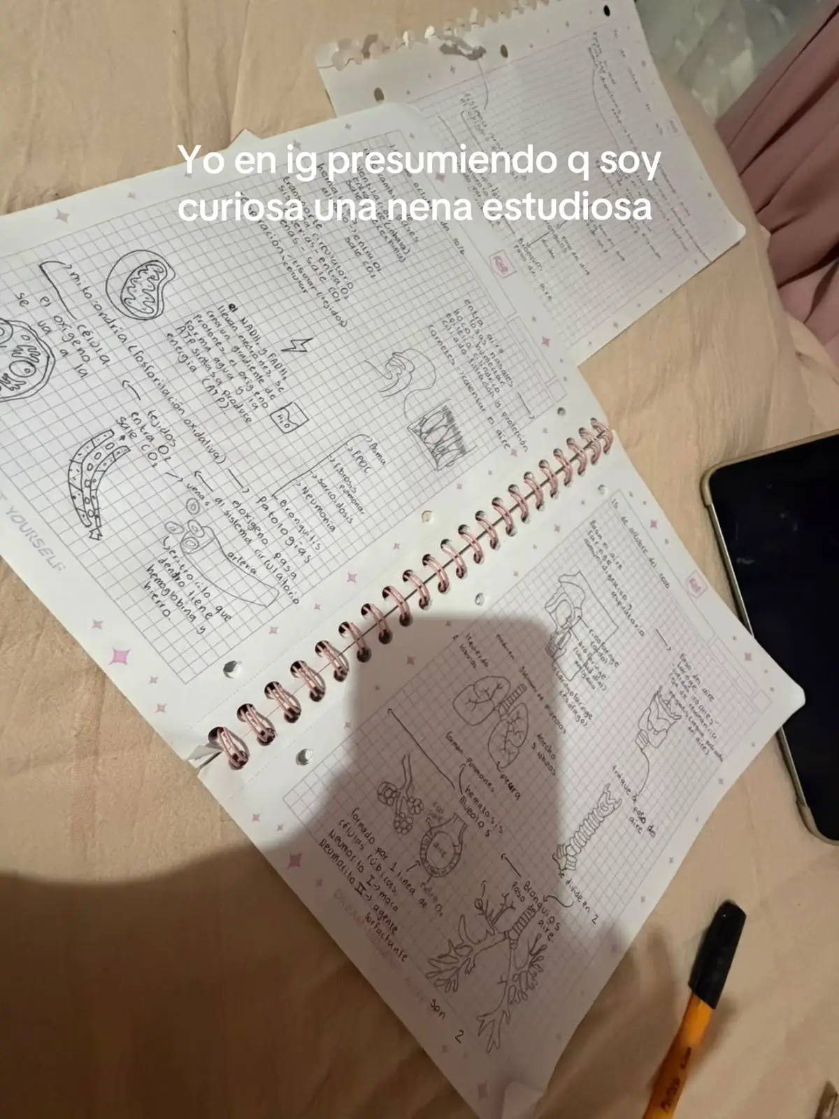@Liliana