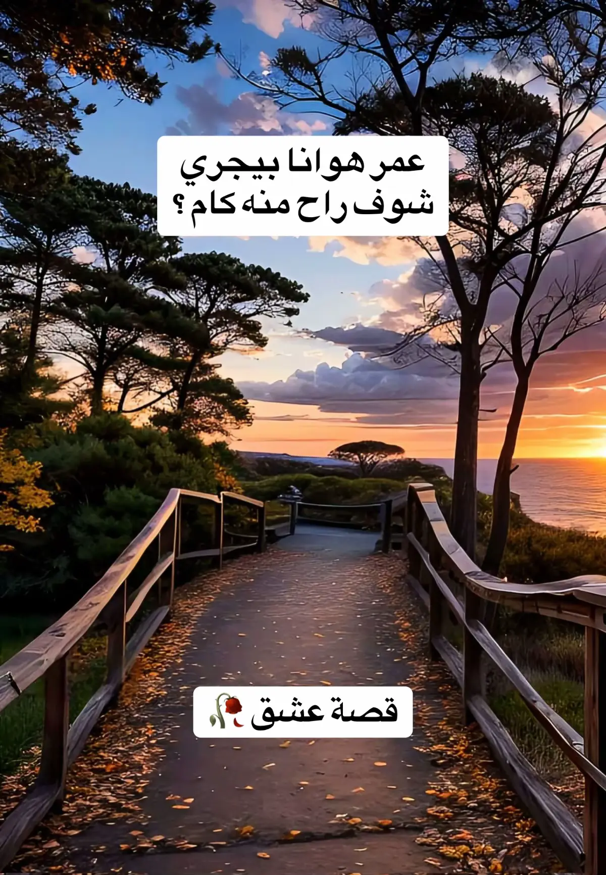 @قصة عشق 🥀