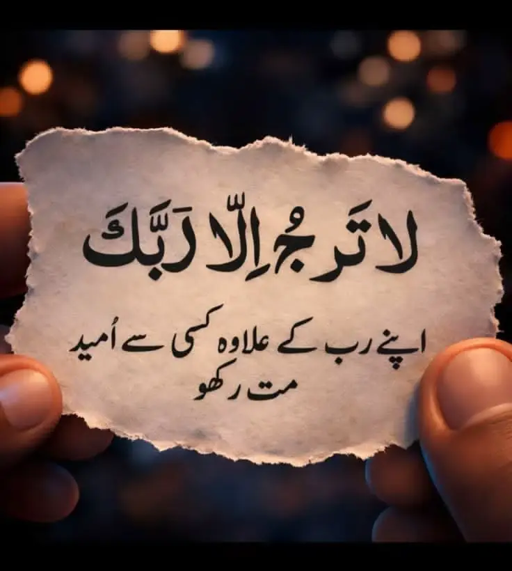 @noor