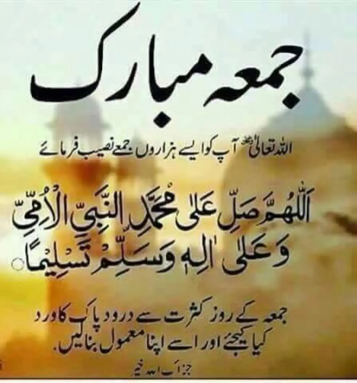 @papa ki ladli🤍✨️✨️