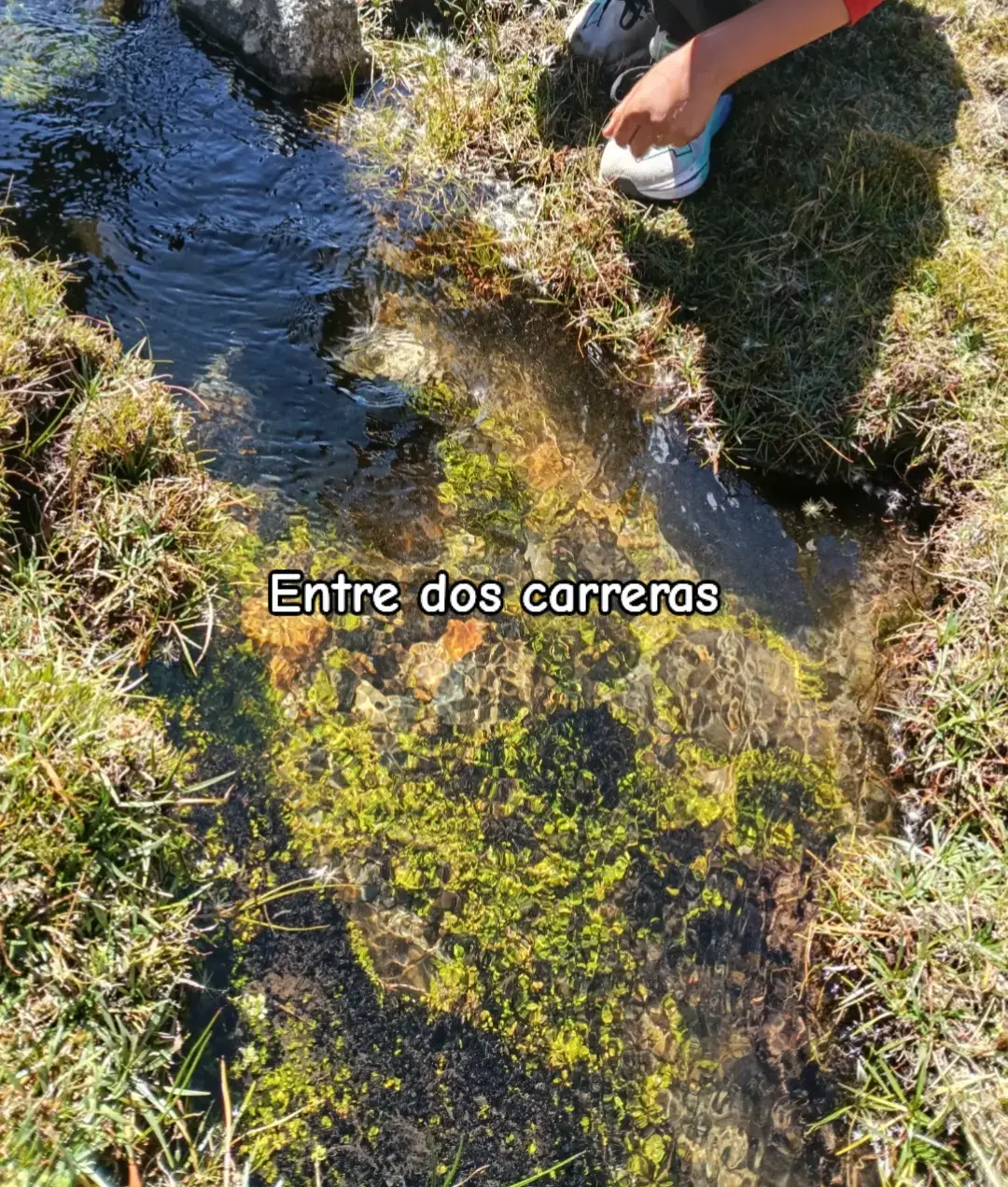 @𝕵𝖍𝖔𝖓 _𝕲.𝕱