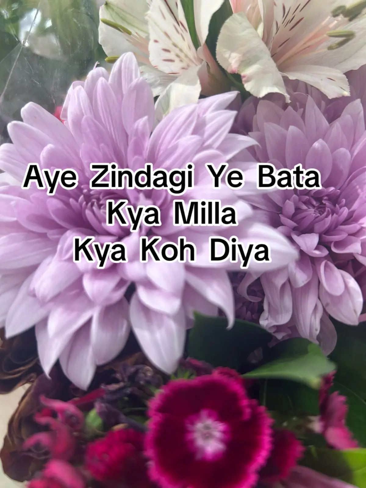 @ZaraHayat020104