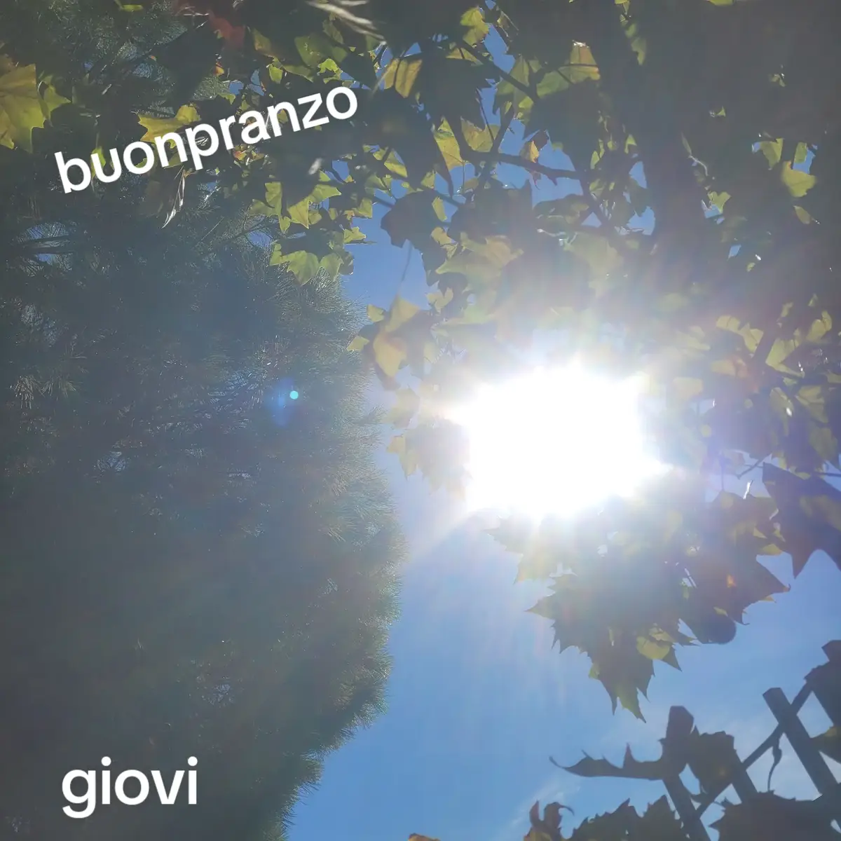 @giovi