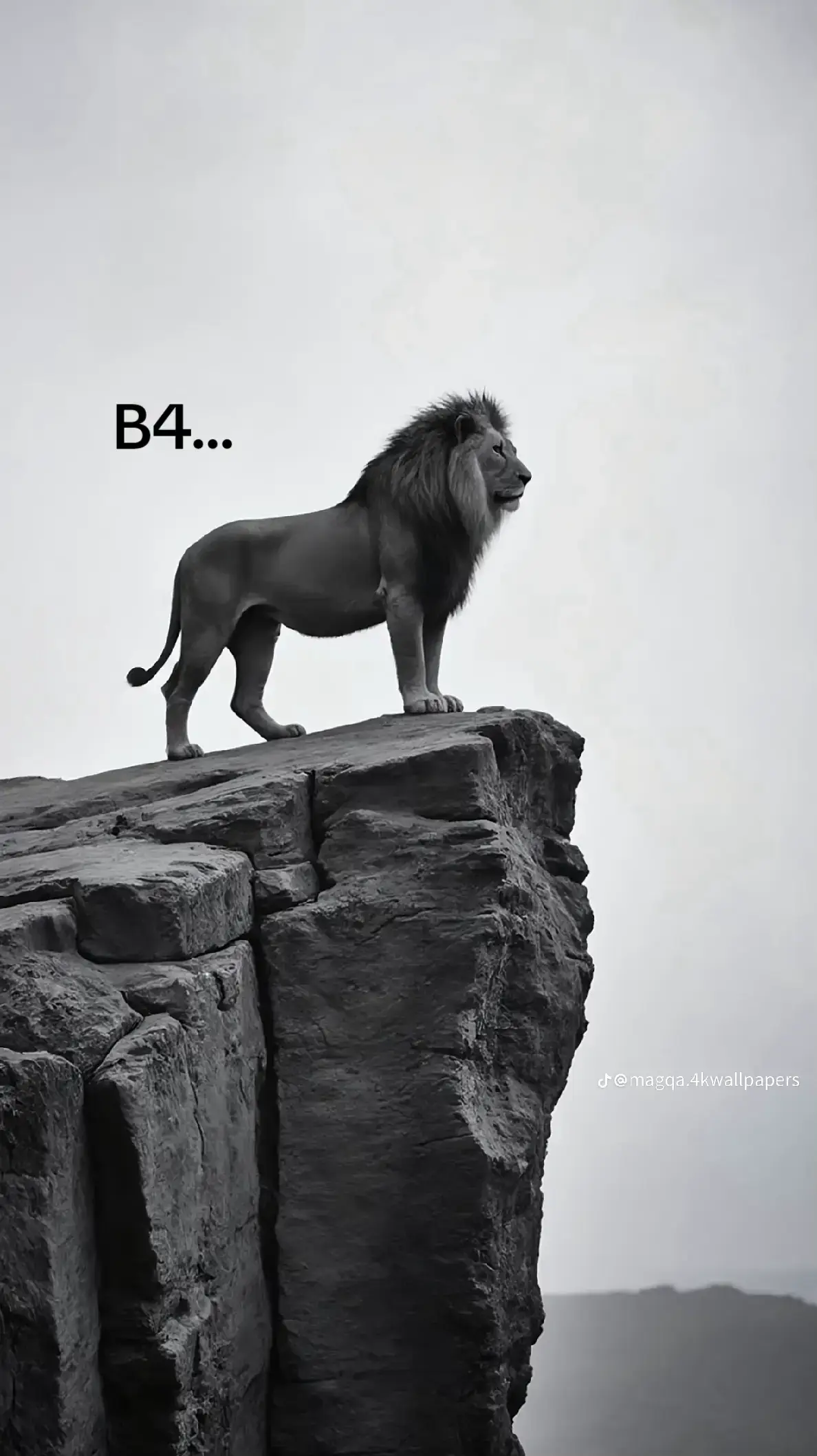 @𝓖𝓮𝓷𝓷𝓪𝓻𝓸🥋