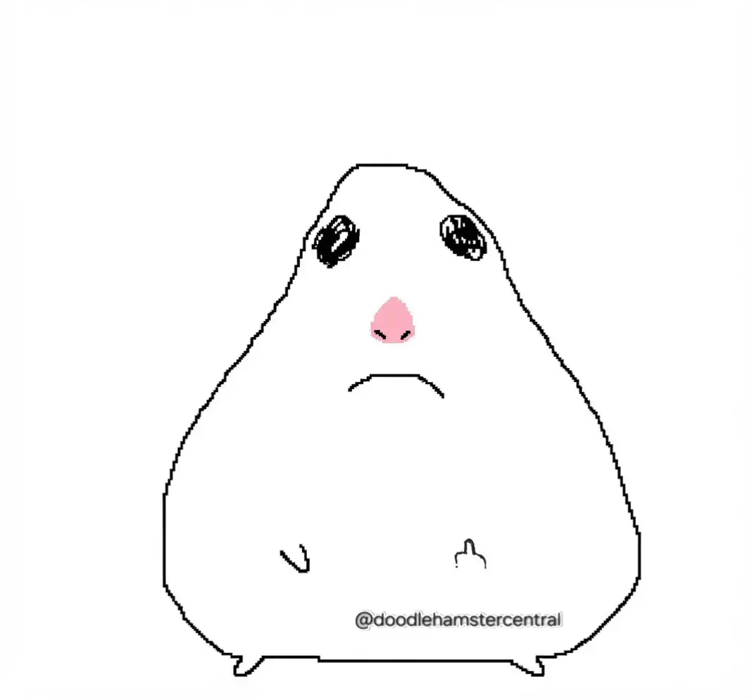 @doodlehamster