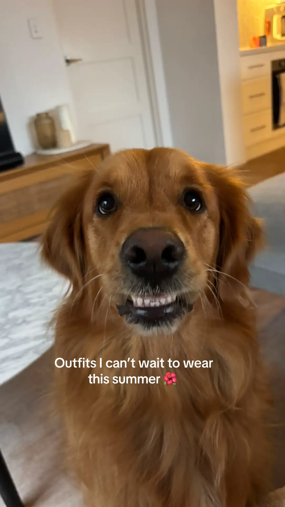 @delilah.thegoldengirl
