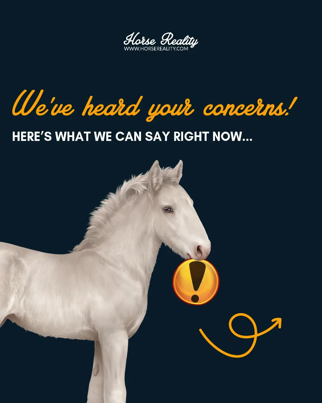 @Horse Reality