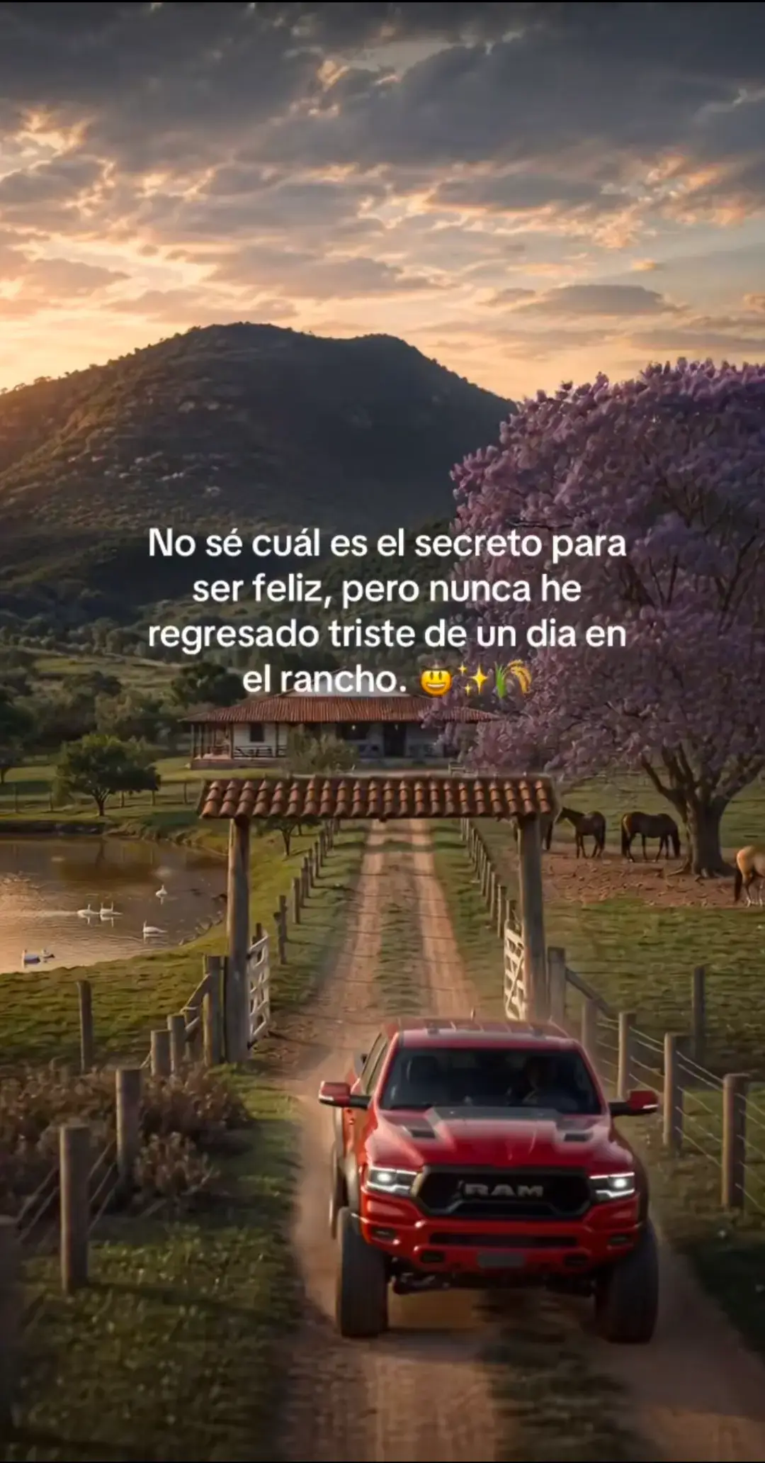 @☘️♥️❤️🔥 ELCOMPATONY❤️🔥♥️☘️