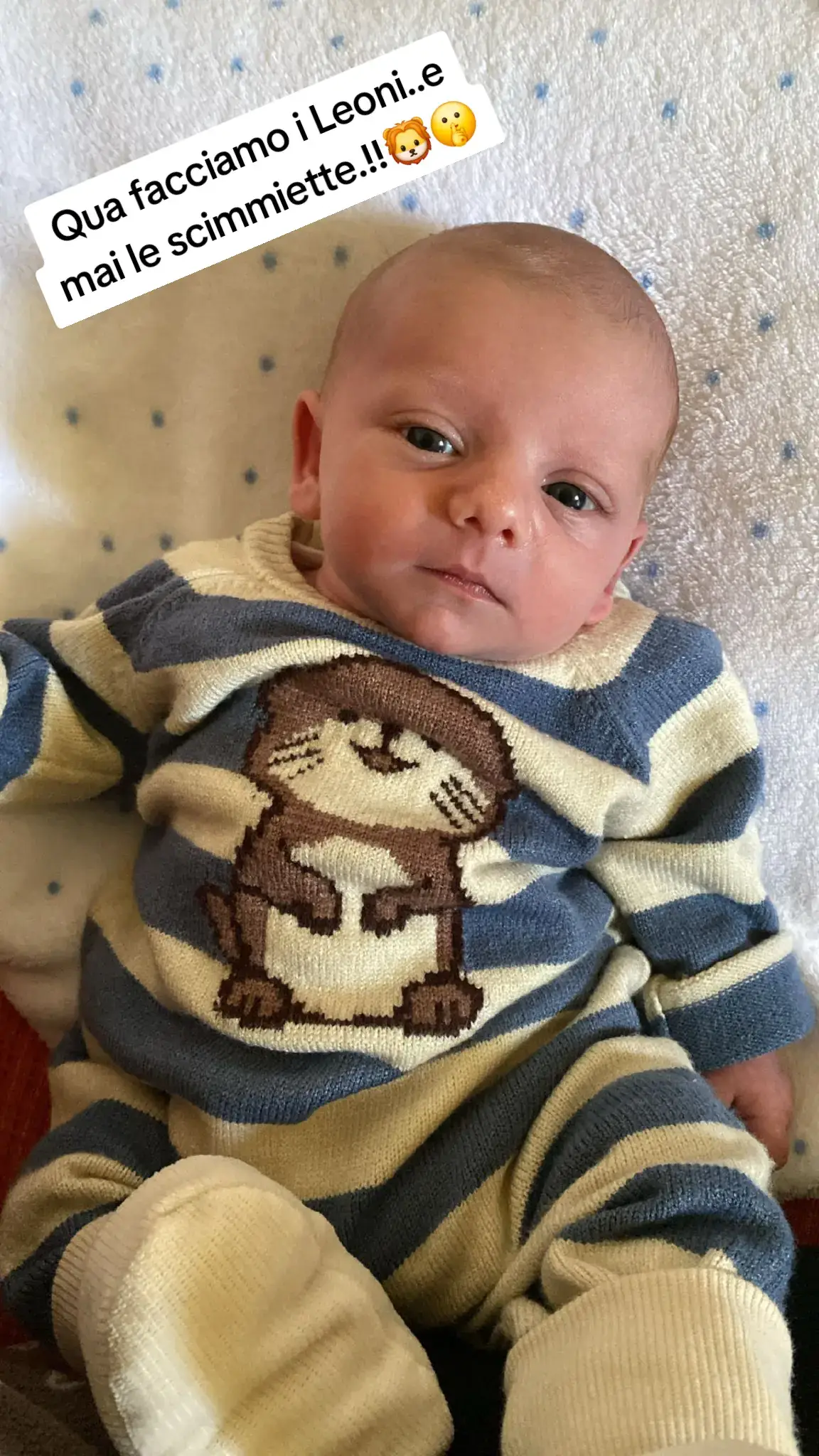 @U Liuni👑🦁👑