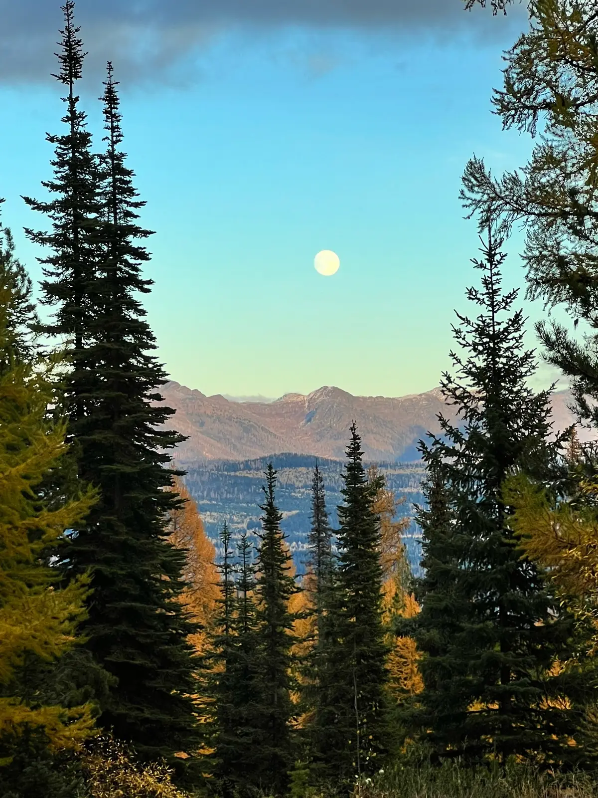 @She She 🏔️