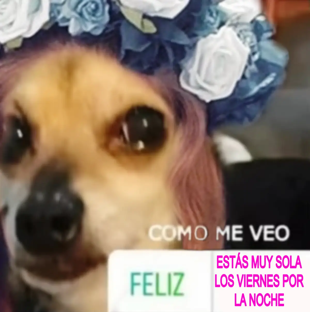 @𝑨𝒍𝒅𝒊𝒕𝒐