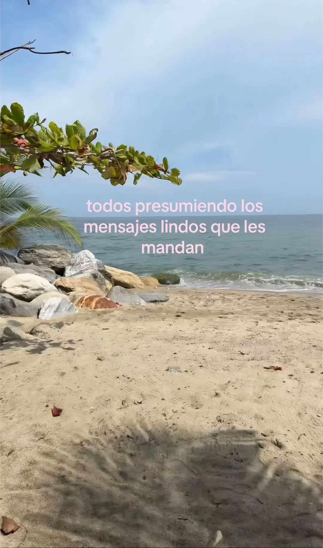 @Reyna Canales