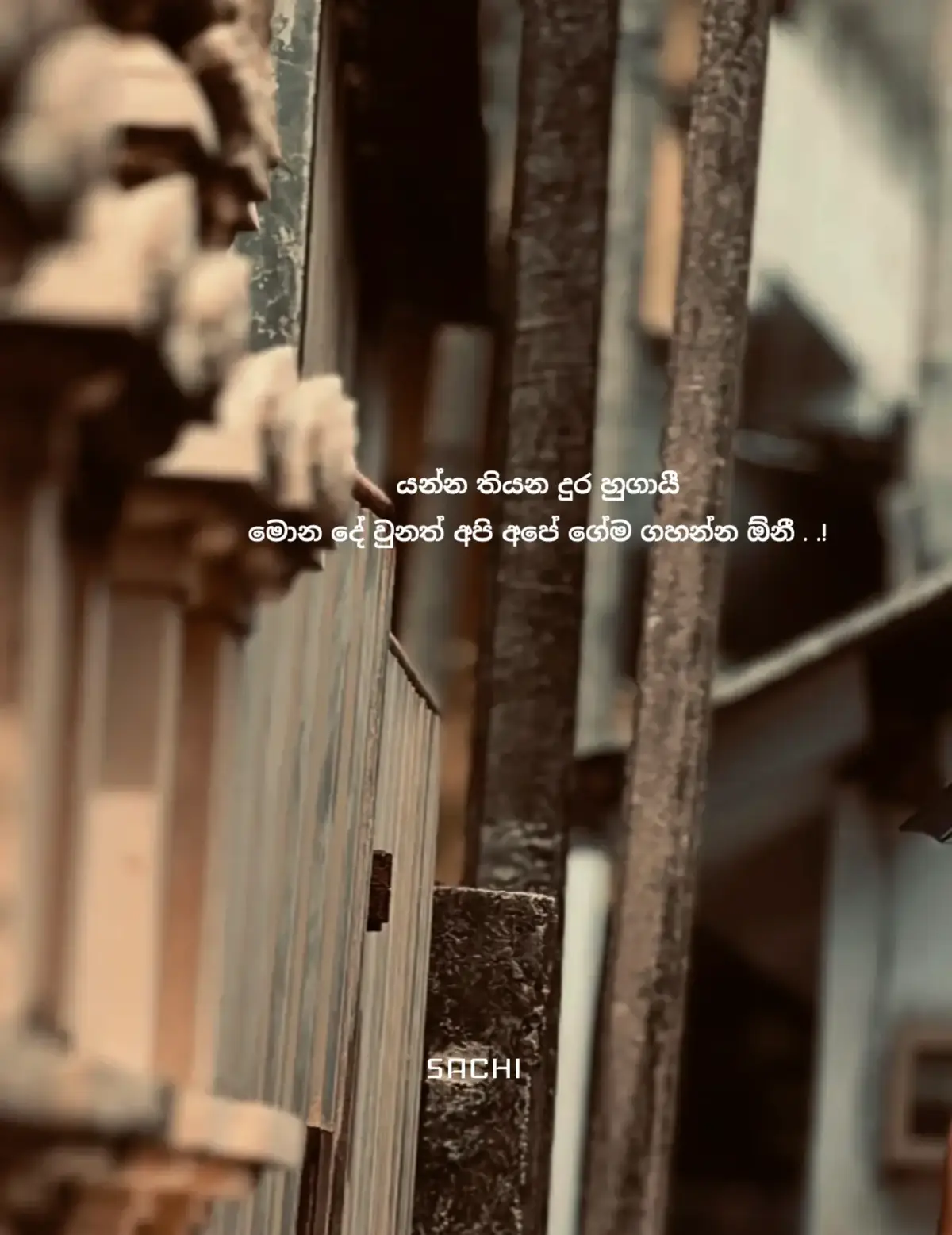 @𝙎𝗮𝗰𝗵𝗶┃සචි 〲 🩸🍃