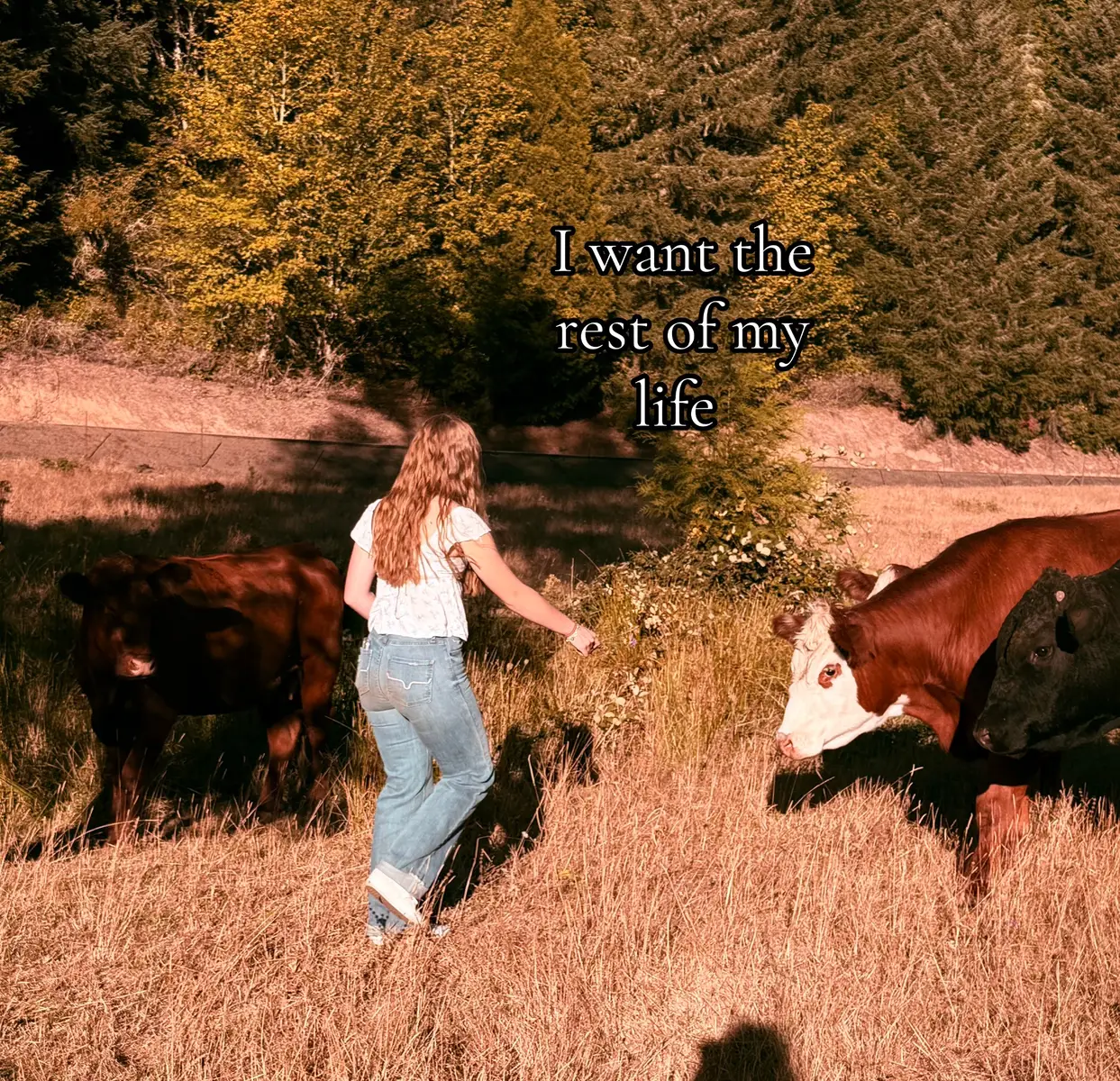 @〰️kaydance🥀〰️