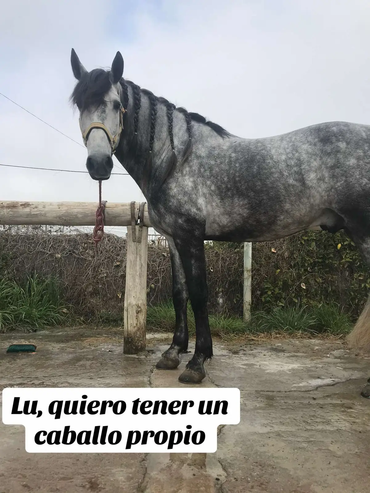 @Maria Prestamero Lor