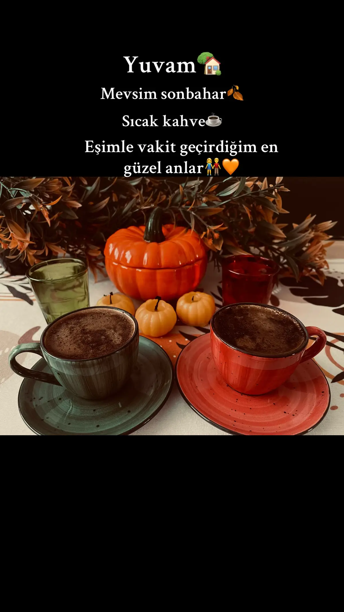 @Gönül Karaoğlu