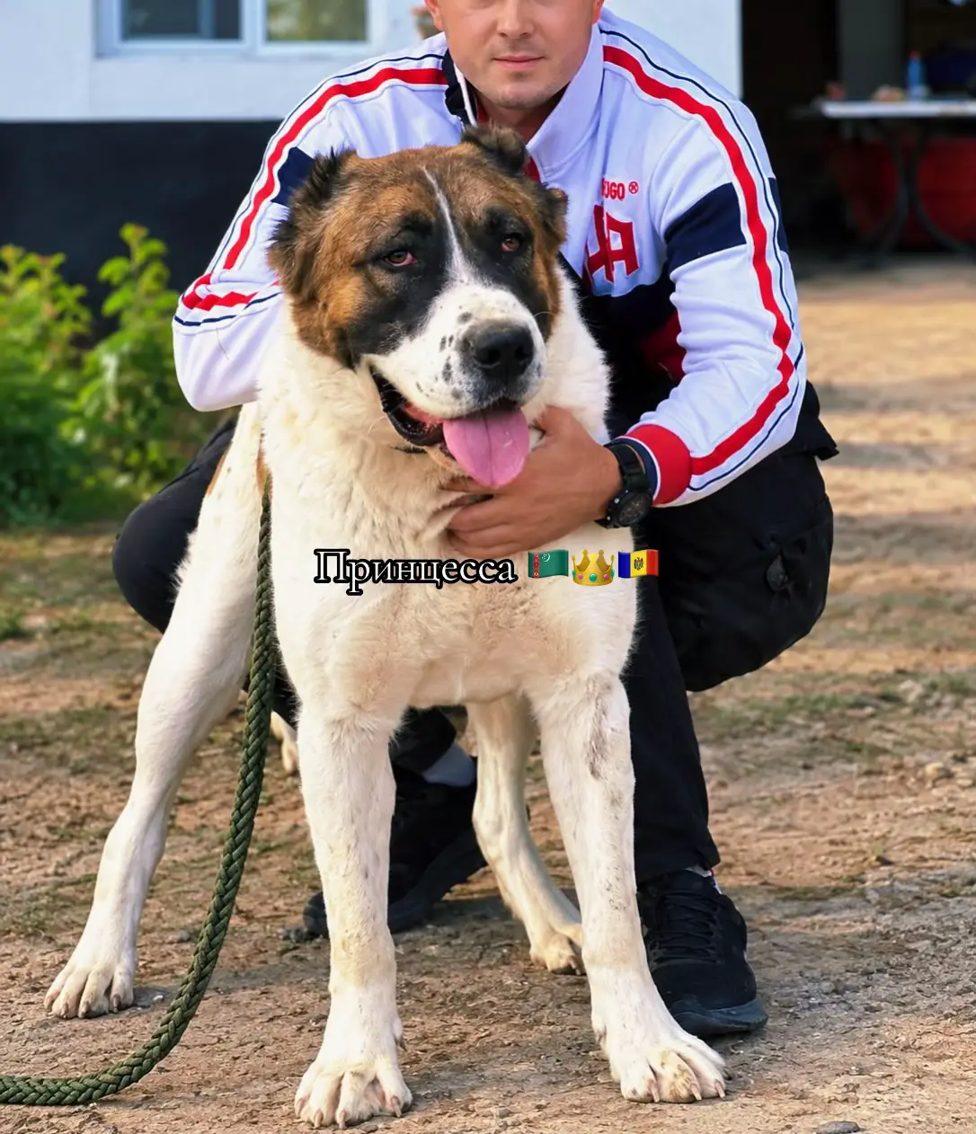 @BucaTurkmenMDAlabai
