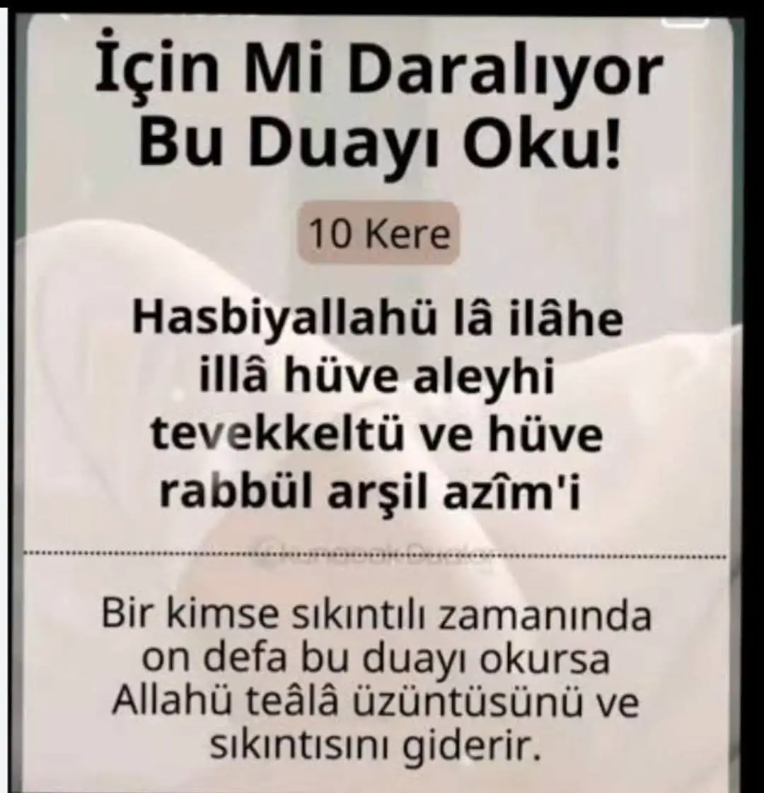 @şeenol Albayrak