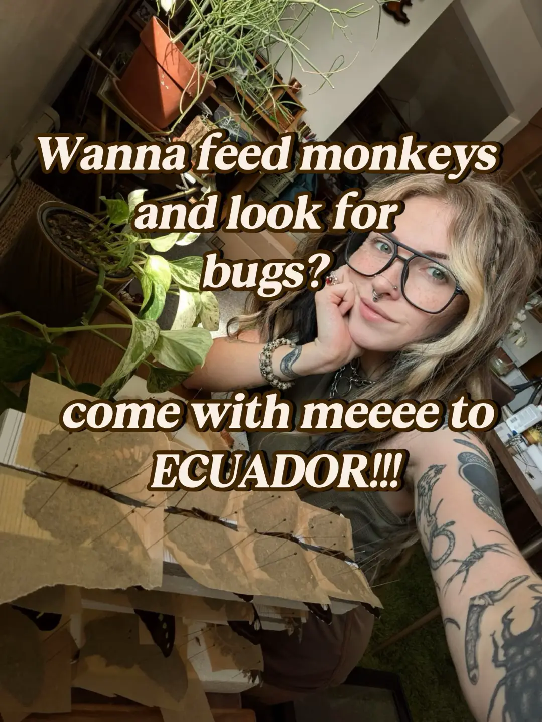 @mushbugs
