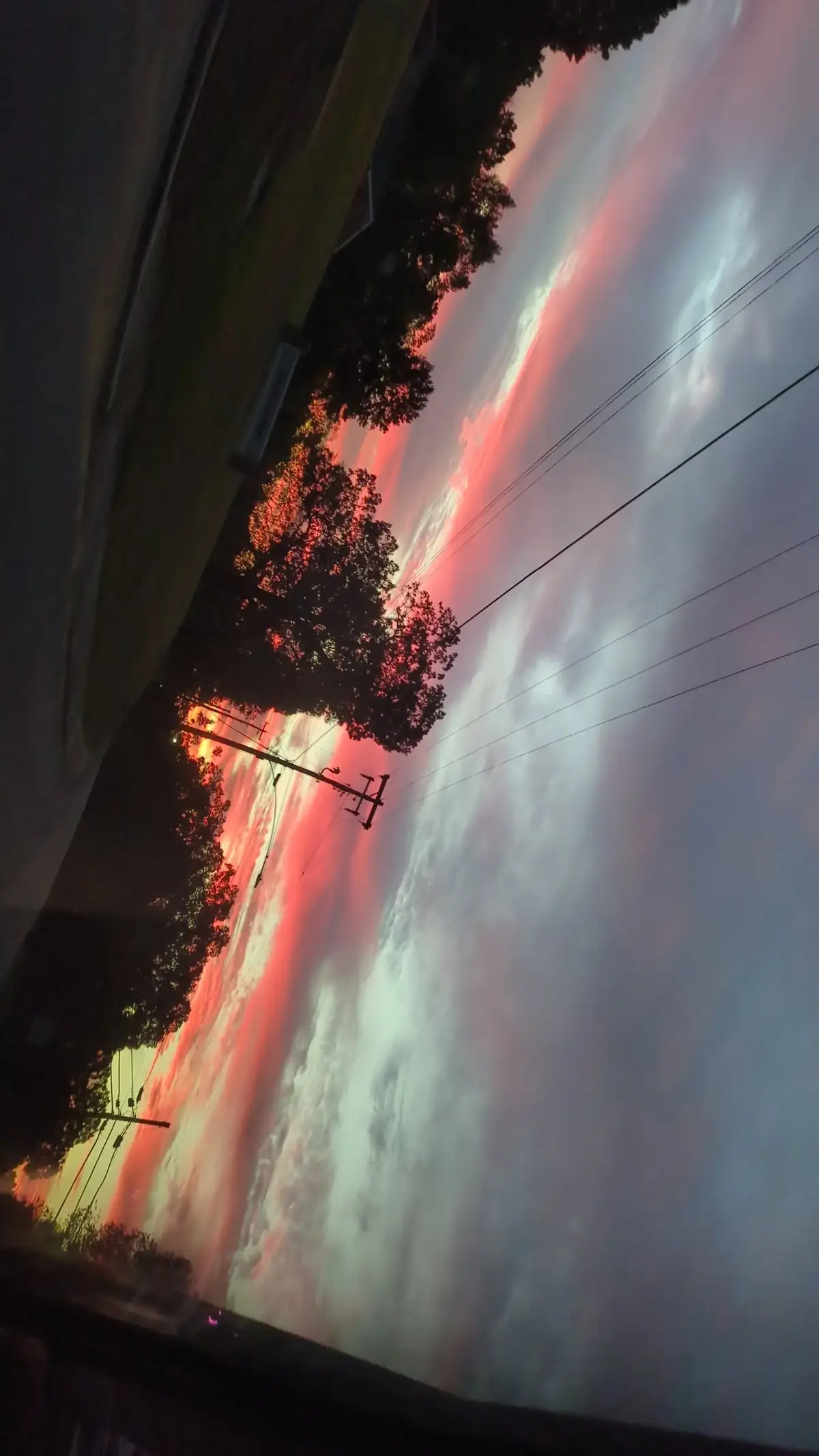 @david