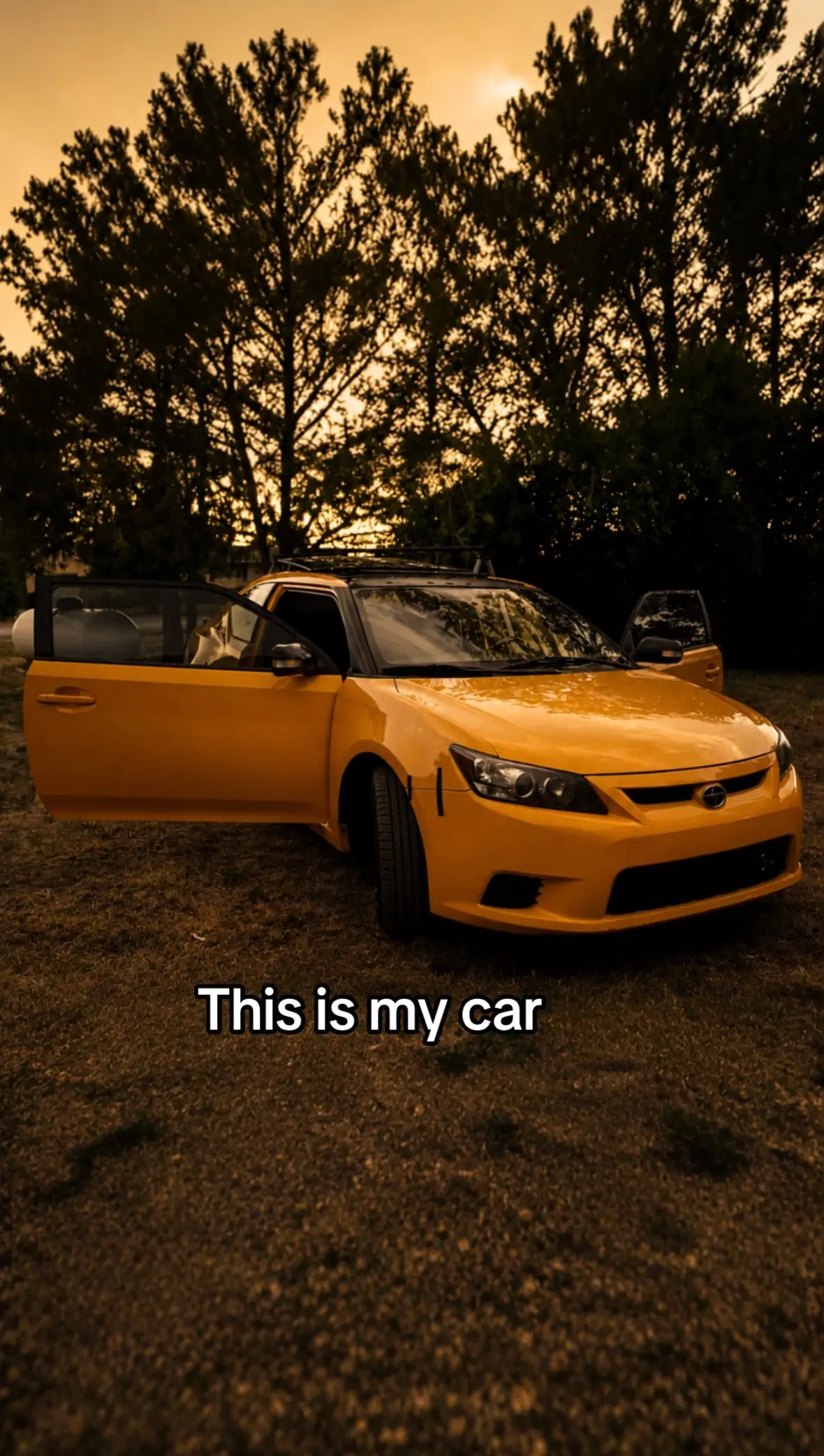 @thistcrsbuild